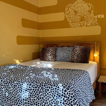 Paradisegarden Backpackers Windhuk Zewnętrze zdjęcie