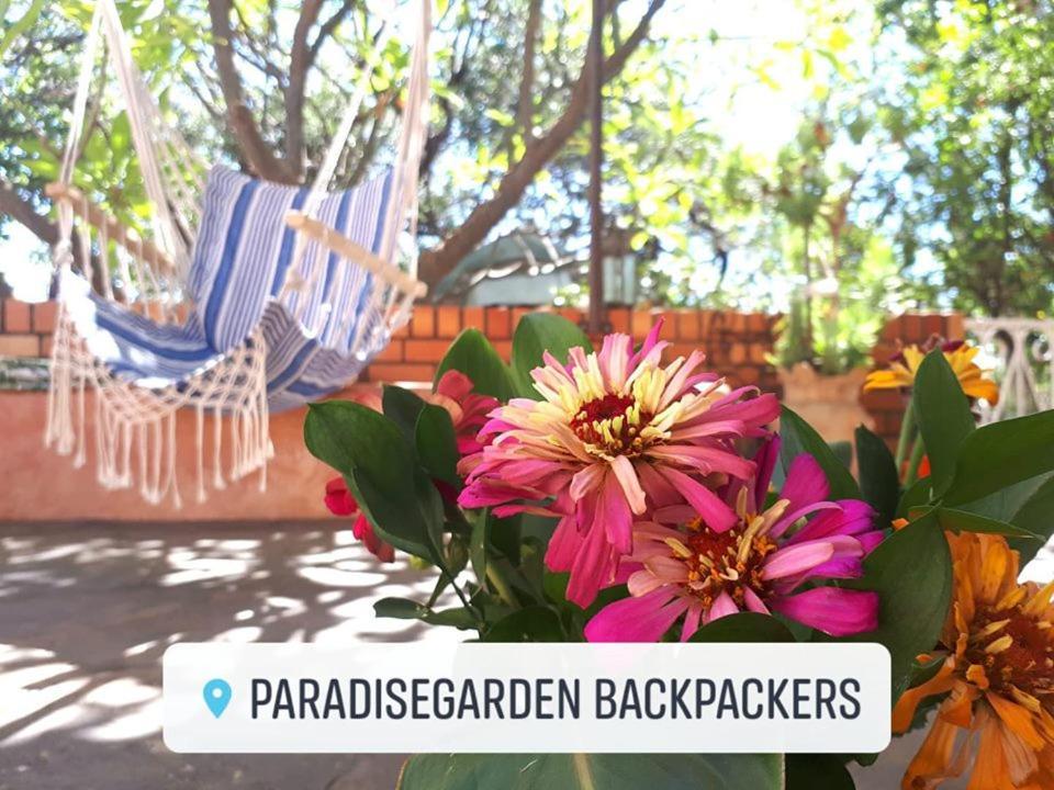 Paradisegarden Backpackers Windhuk Zewnętrze zdjęcie