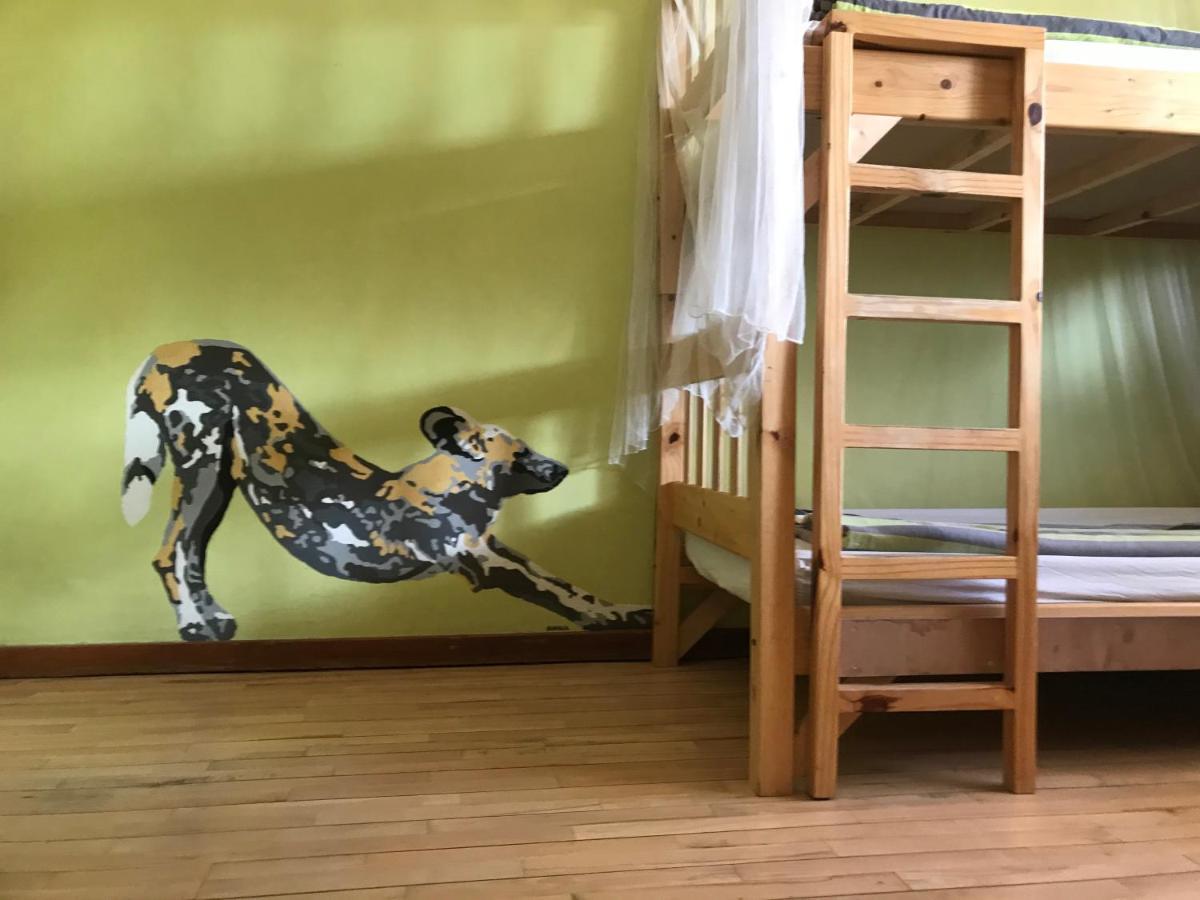 Paradisegarden Backpackers Windhuk Zewnętrze zdjęcie