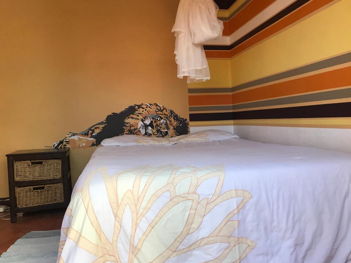Paradisegarden Backpackers Windhuk Zewnętrze zdjęcie