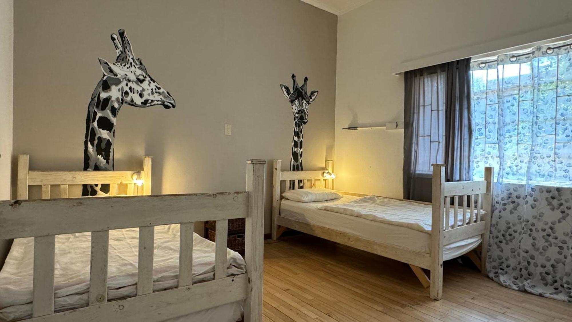 Paradisegarden Backpackers Windhuk Zewnętrze zdjęcie