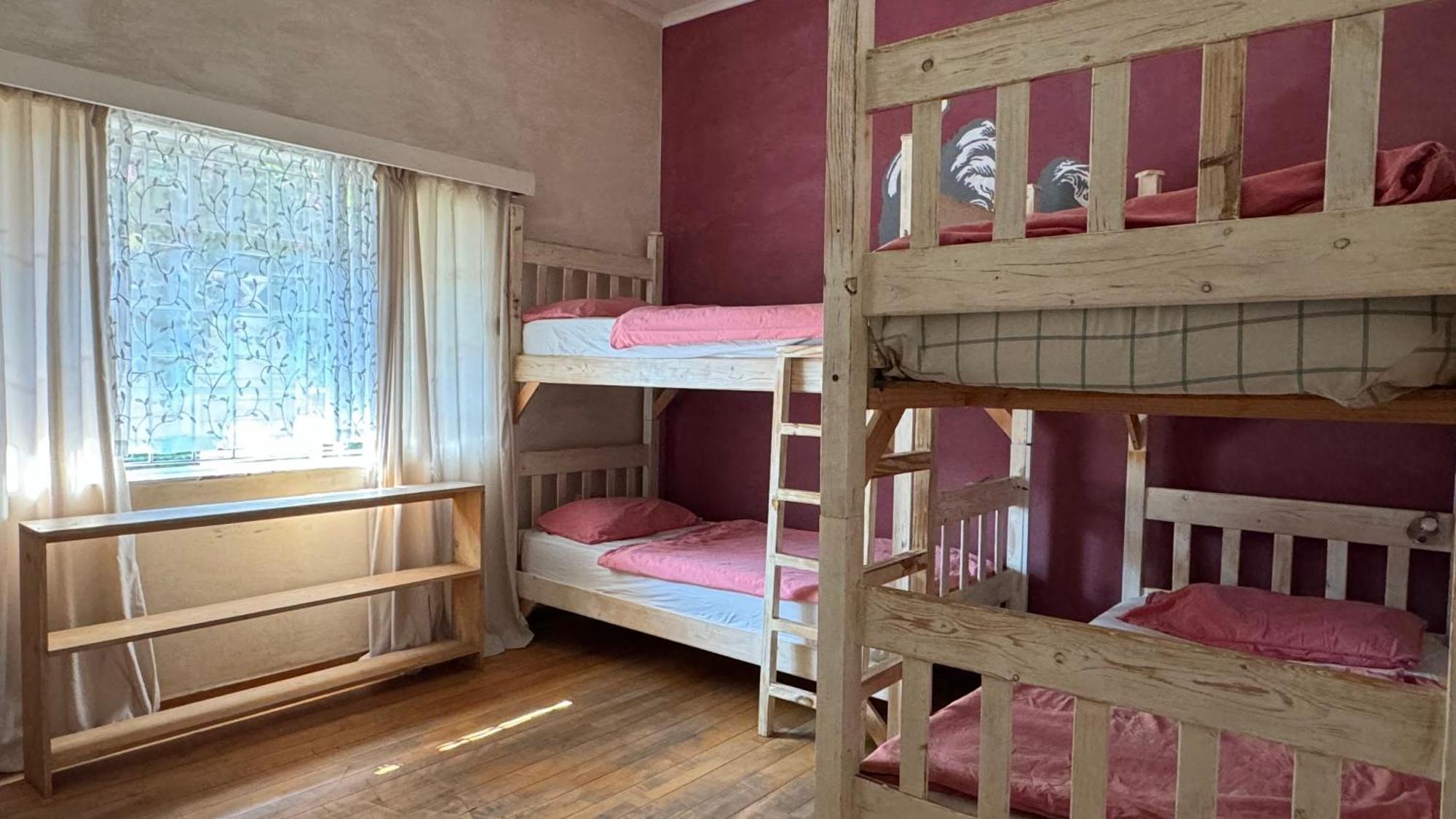 Paradisegarden Backpackers Windhuk Zewnętrze zdjęcie