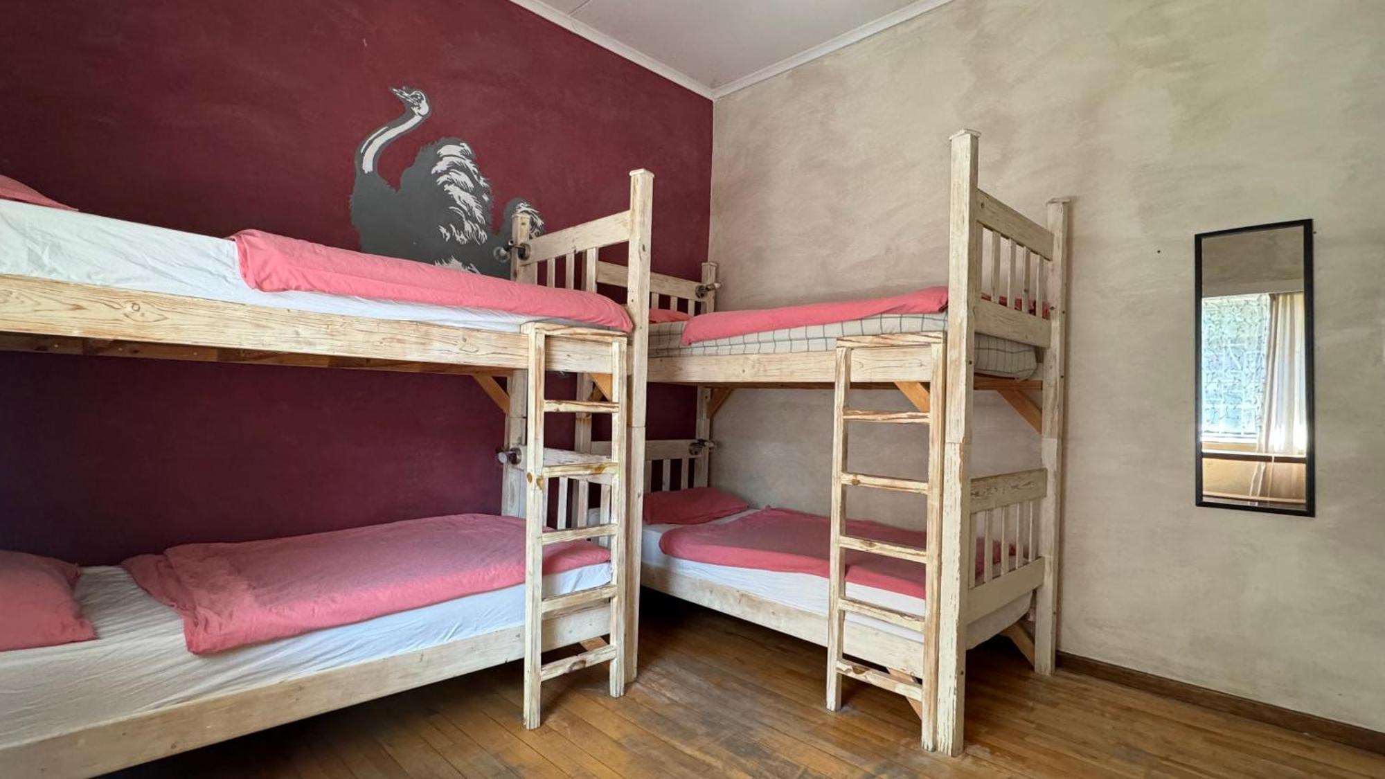Paradisegarden Backpackers Windhuk Zewnętrze zdjęcie