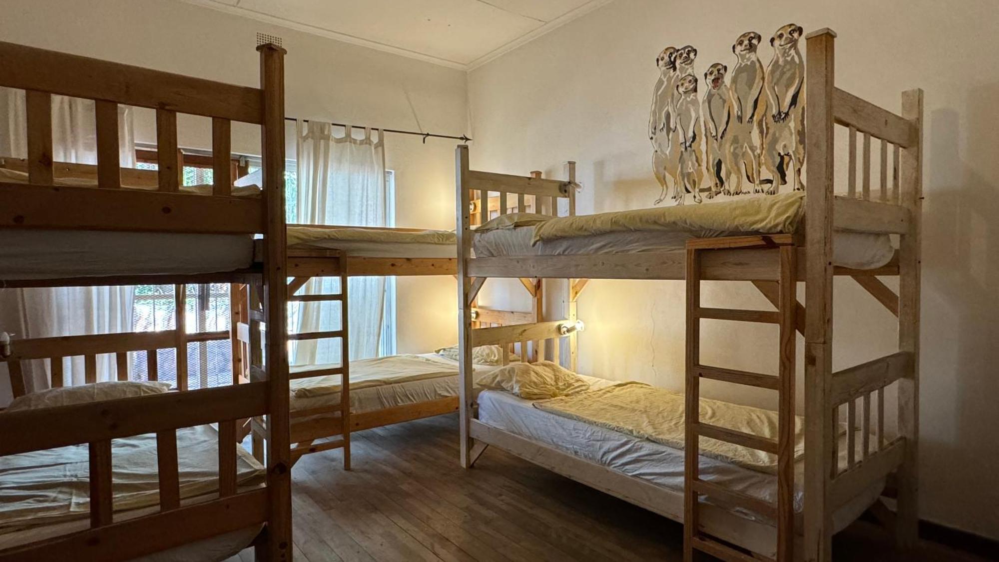 Paradisegarden Backpackers Windhuk Zewnętrze zdjęcie